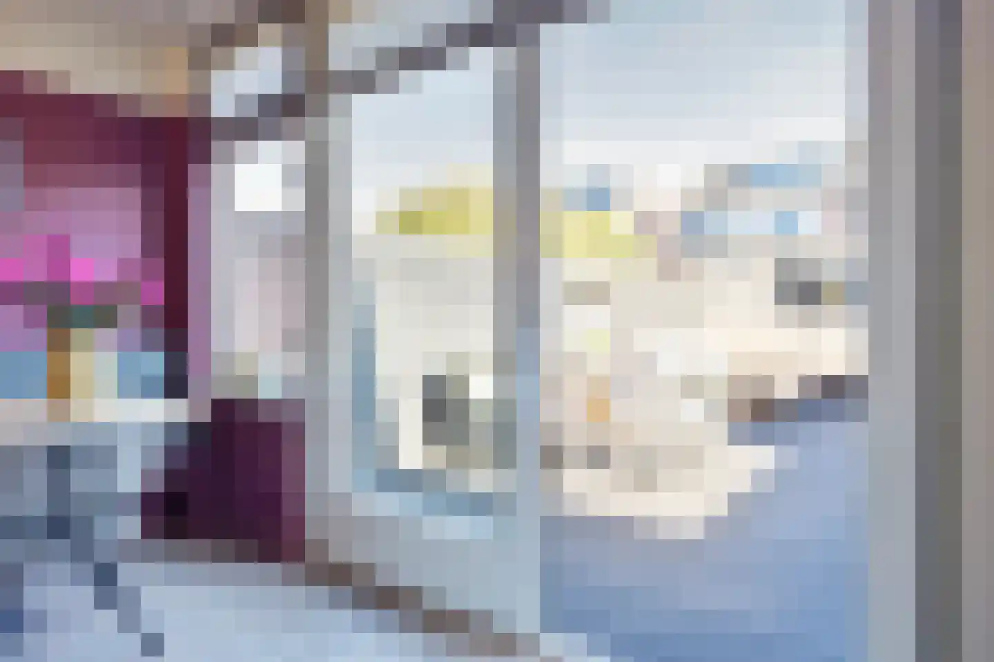 Hendrik van Viandenstraat 18 Oudewater thumbnail 11