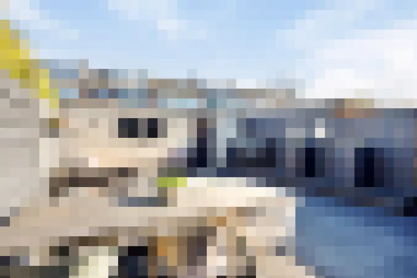 Hendrik van Viandenstraat 18 Oudewater thumbnail 12