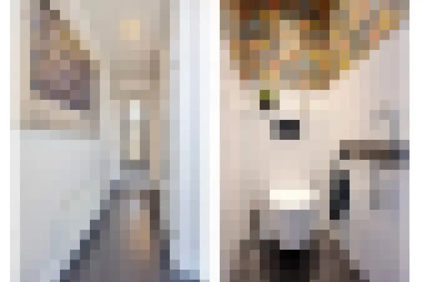 Hendrik van Viandenstraat 18 Oudewater thumbnail 19