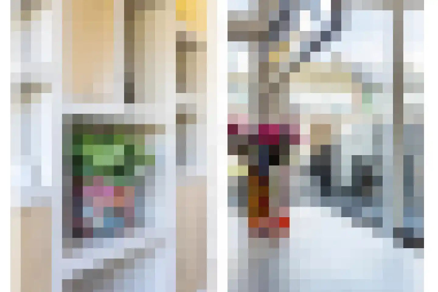 Hendrik van Viandenstraat 18 Oudewater thumbnail 5