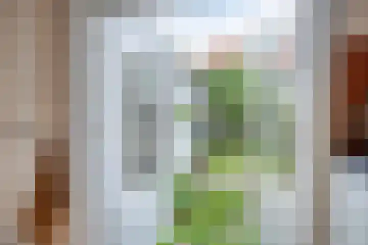 Hendrik van Viandenstraat 25 Kampen thumbnail 10