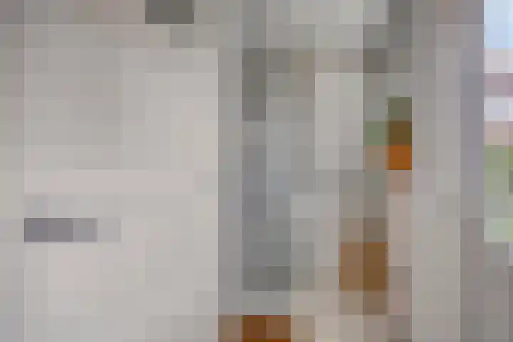 Hendrik van Viandenstraat 25 Kampen thumbnail 17