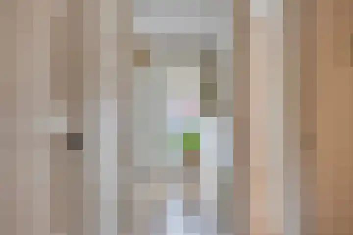 Hendrik van Viandenstraat 25 Kampen thumbnail 21