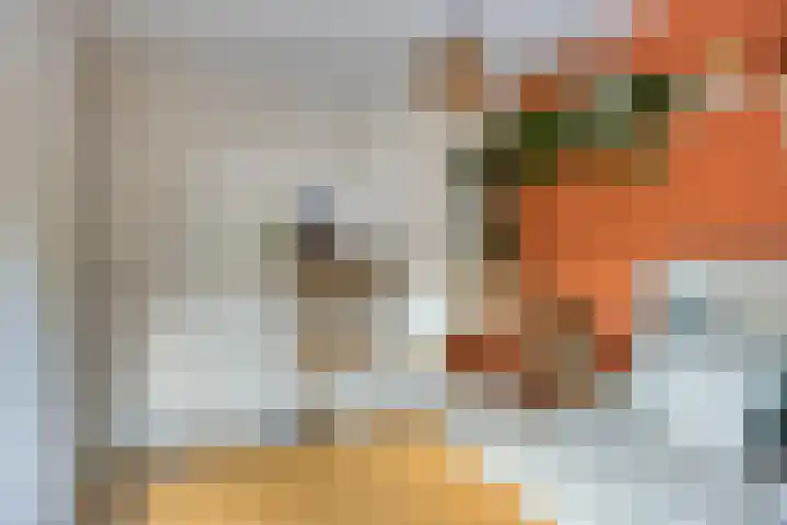 Hendrik van Viandenstraat 25 Kampen thumbnail 23