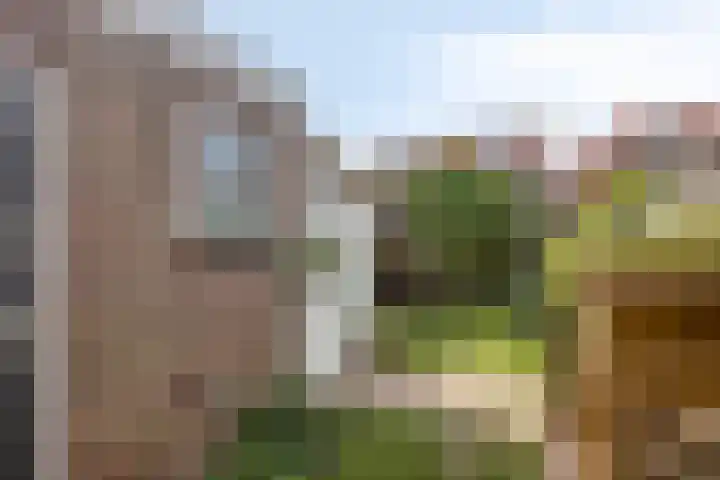 Hendrik van Viandenstraat 25 Kampen thumbnail 31