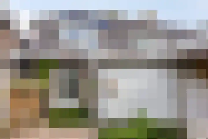 Hendrik van Viandenstraat 25 Kampen thumbnail 32