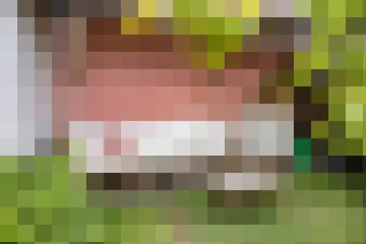 Hendrik van Viandenstraat 25 Kampen thumbnail 34