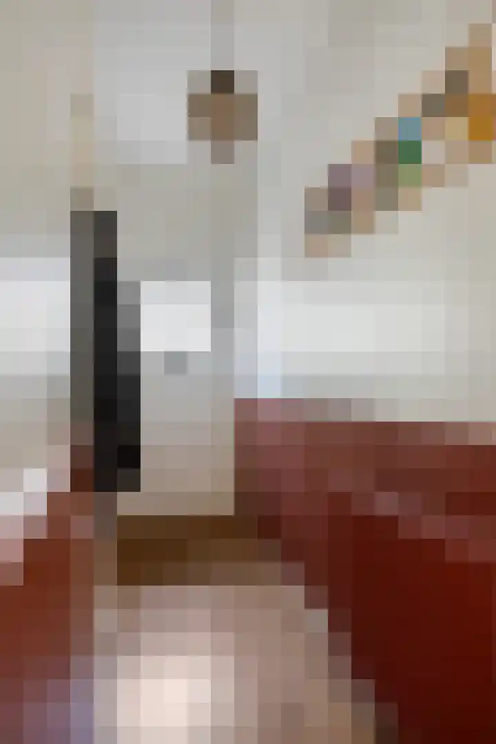 Hendrik van Viandenstraat 25 Kampen thumbnail 5
