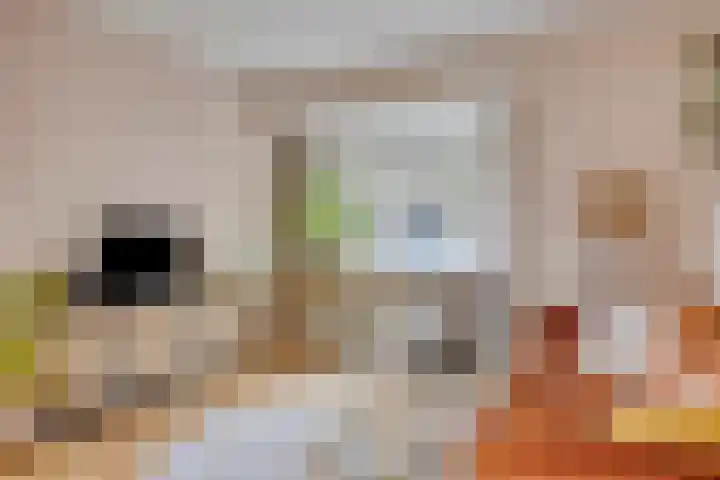 Hendrik van Viandenstraat 25 Kampen thumbnail 8