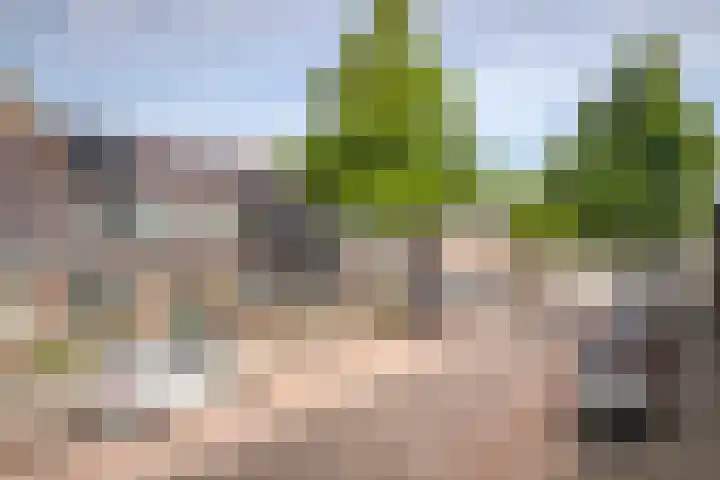 Hendrik van Viandenstraat 31 Kampen thumbnail 11