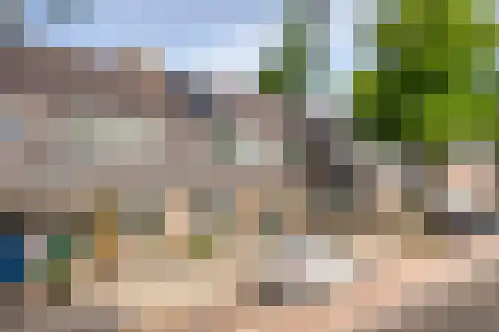 Hendrik van Viandenstraat 31 Kampen thumbnail 7