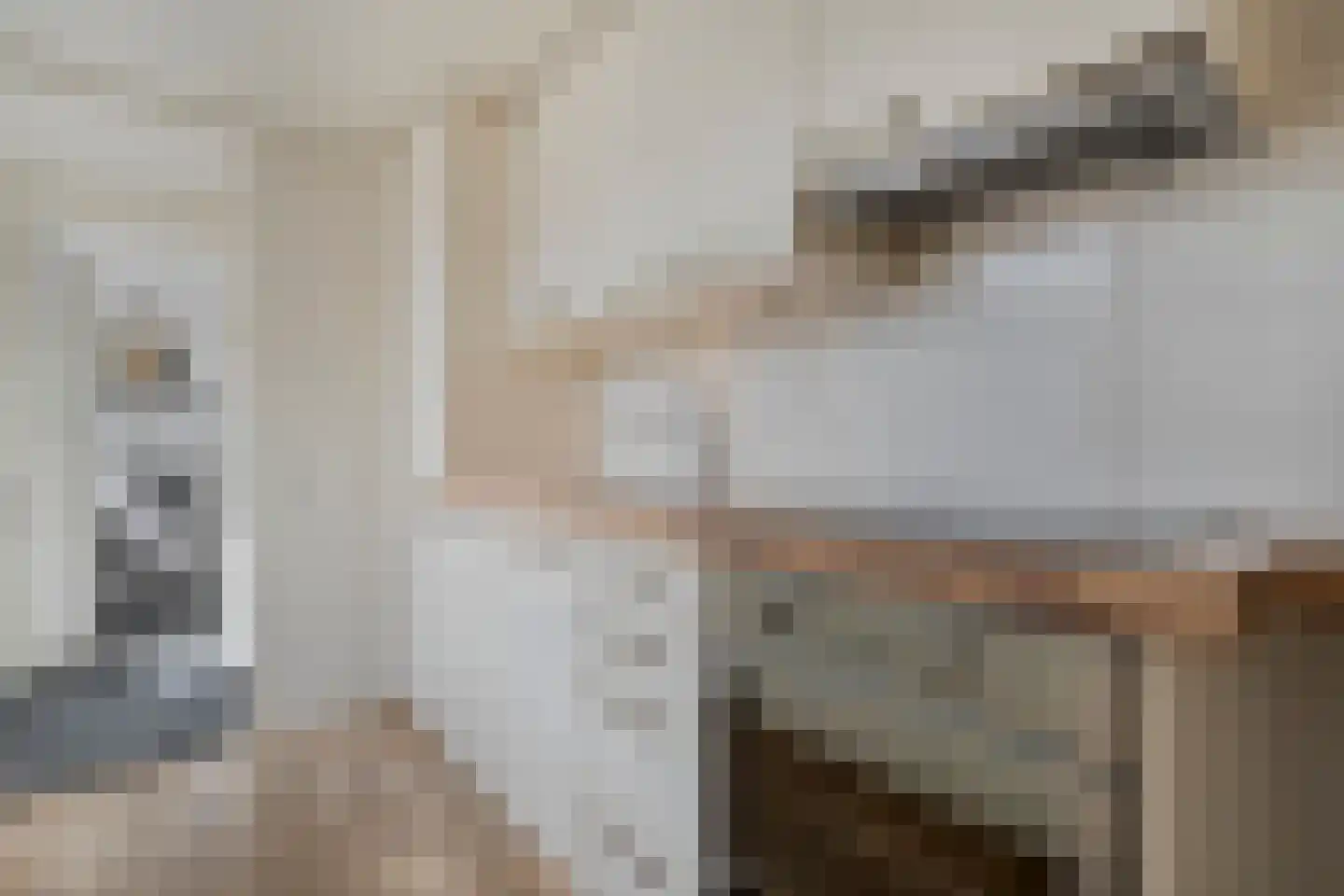 Hendrik van Viandenstraat 35 Kampen thumbnail 12