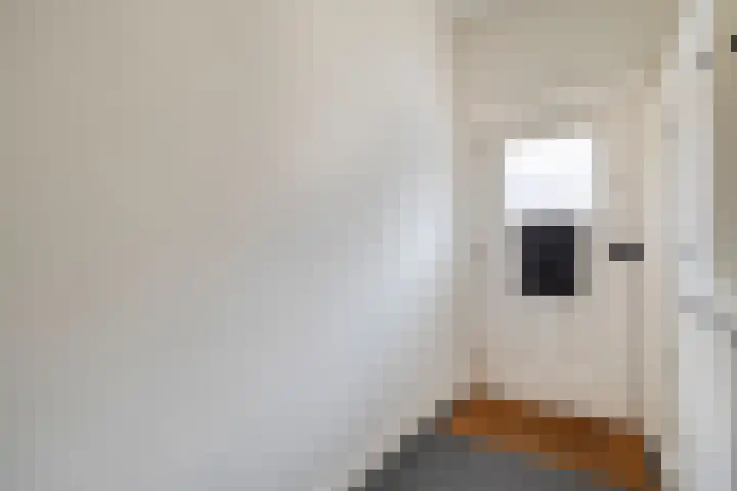 Hendrik van Viandenstraat 35 Kampen thumbnail 4