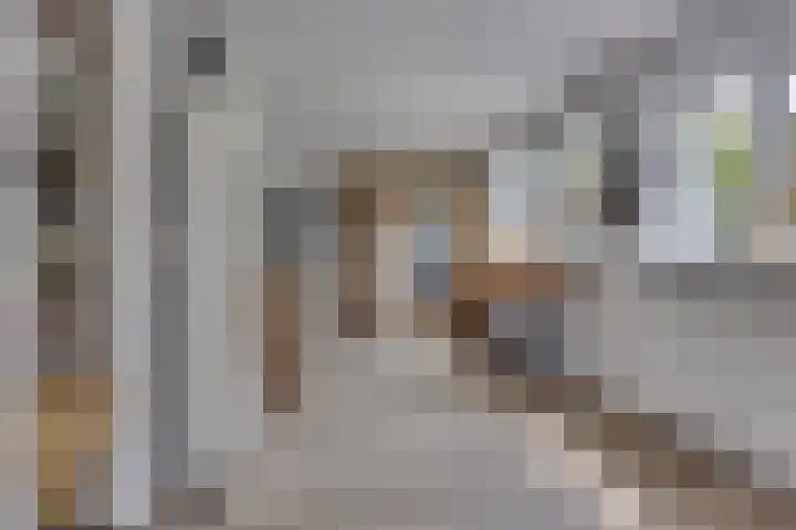 Hendrik van Viandenstraat 5 Vreeland thumbnail 10
