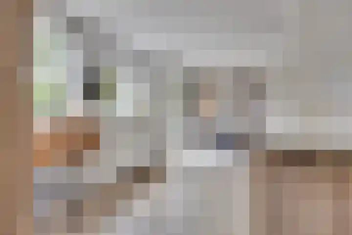 Hendrik van Viandenstraat 5 Vreeland thumbnail 14