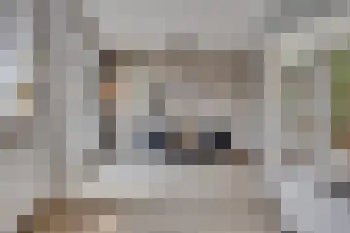 Hendrik van Viandenstraat 5 Vreeland thumbnail 15
