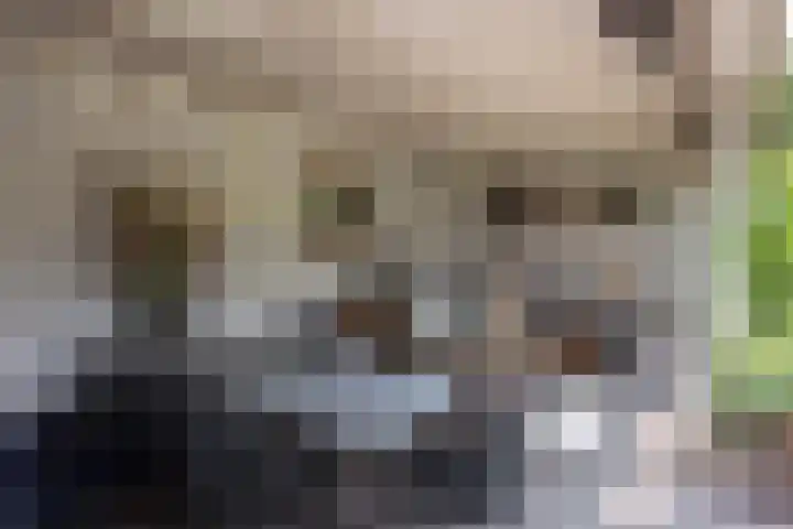 Hendrik van Viandenstraat 5 Vreeland thumbnail 17