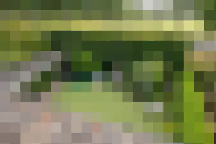 Hendrik van Viandenstraat 5 Vreeland thumbnail 28