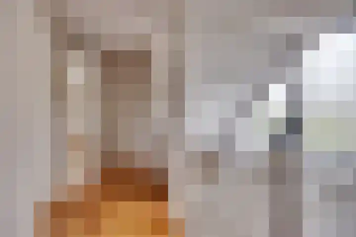 Hendrik van Viandenstraat 5 Vreeland thumbnail 31