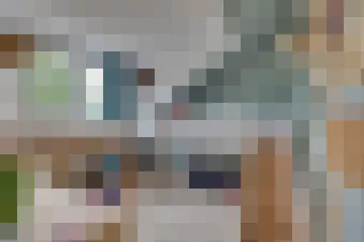 Hendrik van Viandenstraat 5 Vreeland thumbnail 36