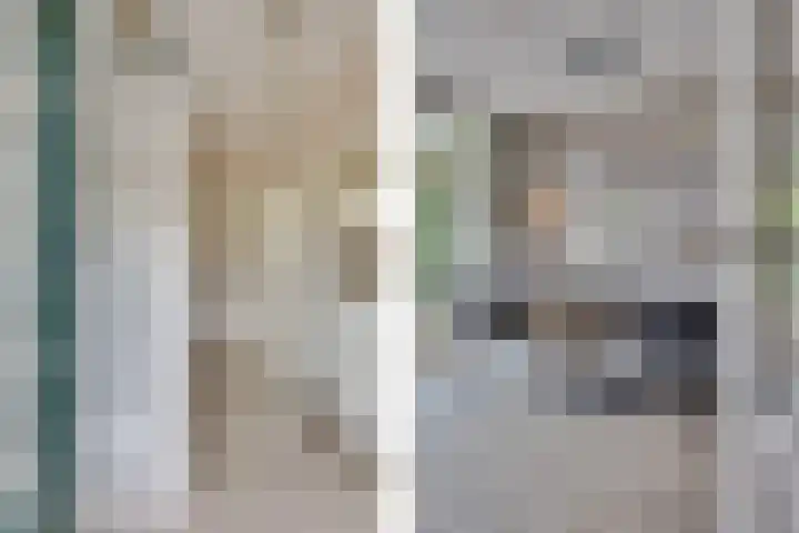 Hendrik van Viandenstraat 5 Vreeland thumbnail 5