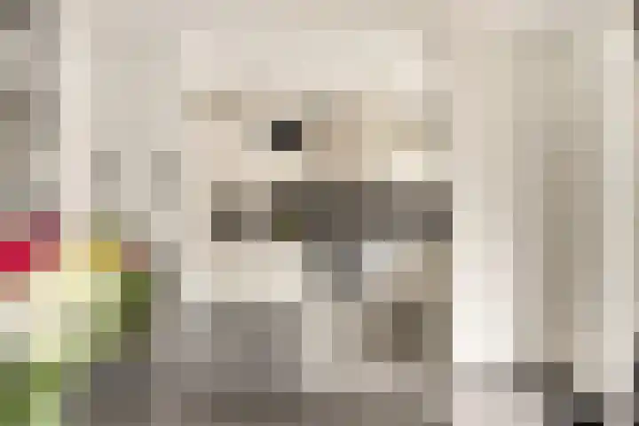 Hendrik van Winkelhofstraat 4 Rotterdam thumbnail 9