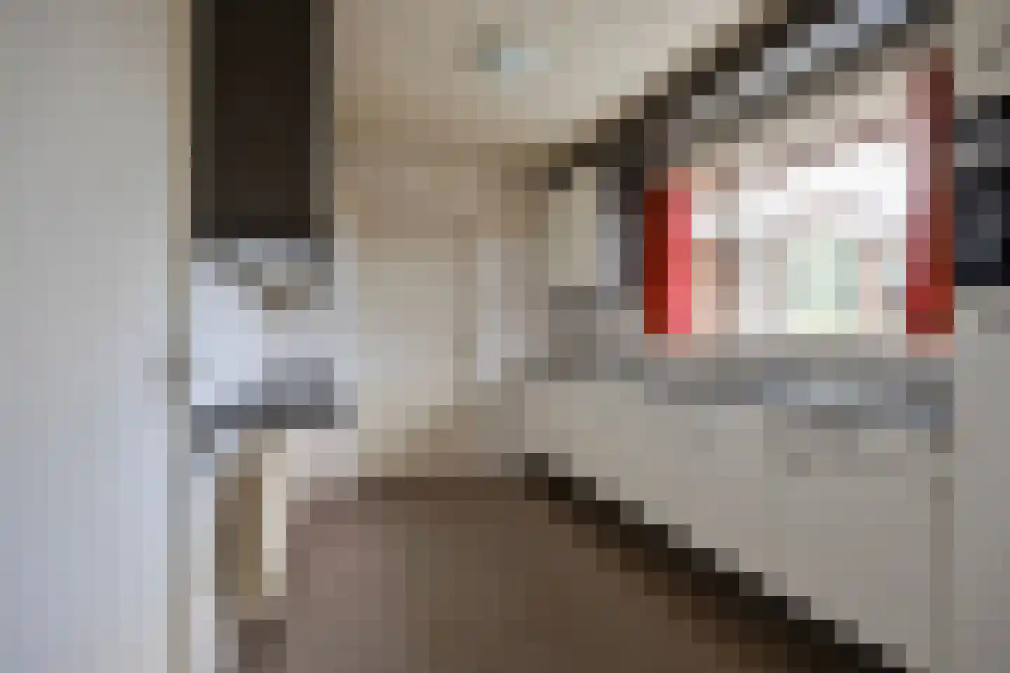 Hendrik Veenemanstraat 10 Son en Breugel thumbnail 15