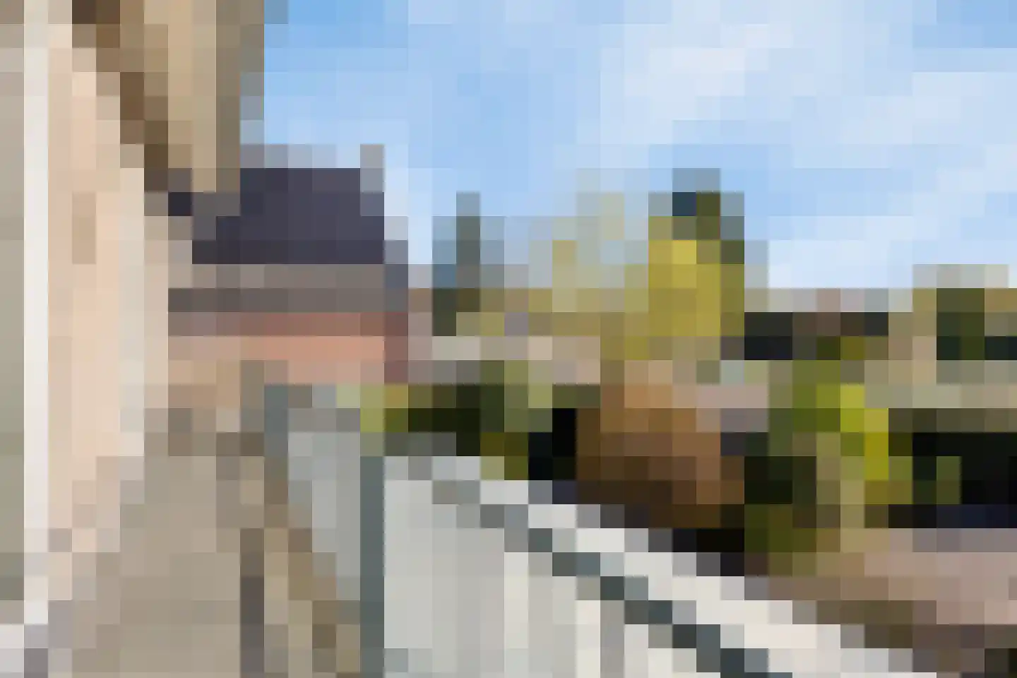 Hendrik Veenemanstraat 10 Son en Breugel thumbnail 33