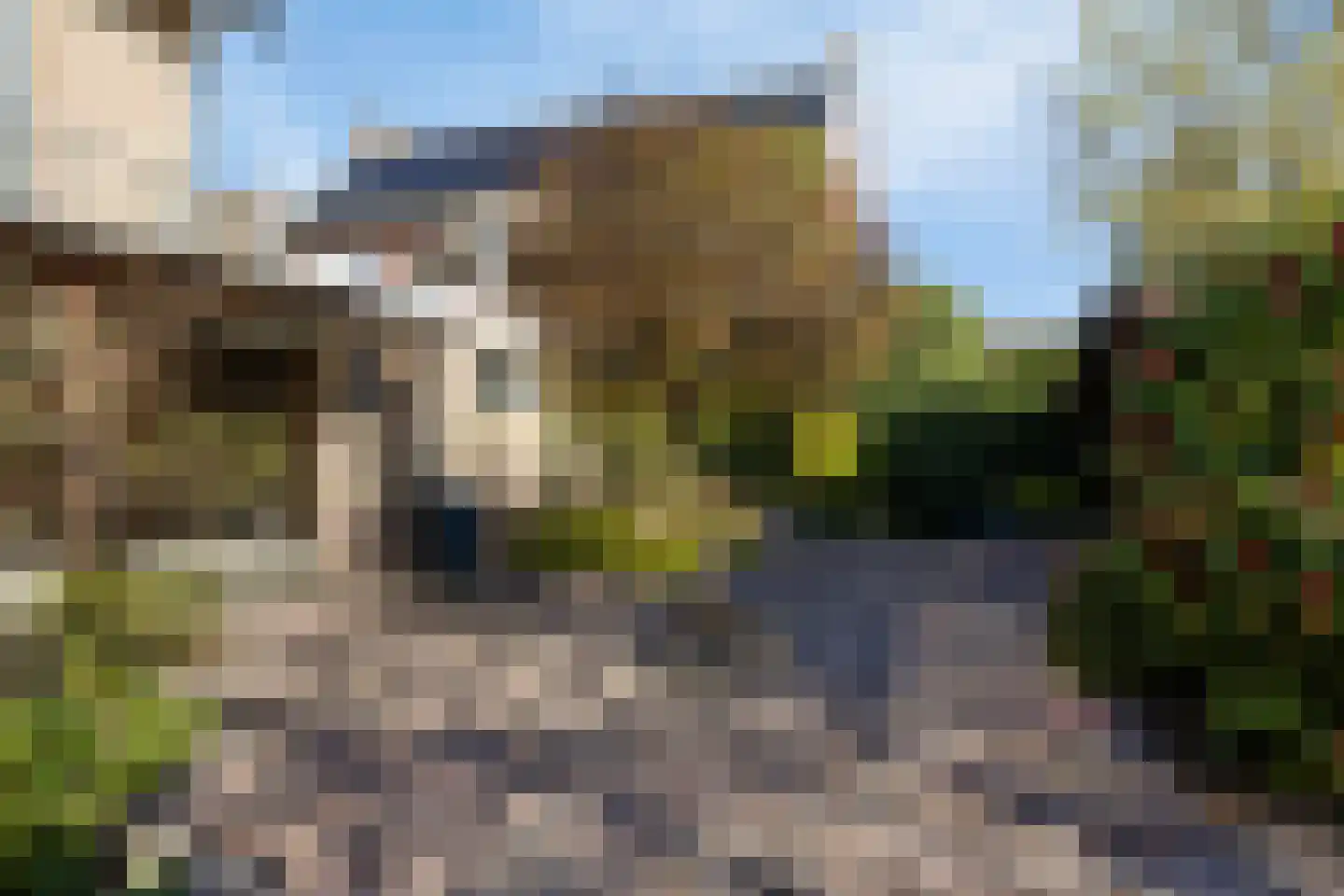 Hendrik Veenemanstraat 10 Son en Breugel thumbnail 55
