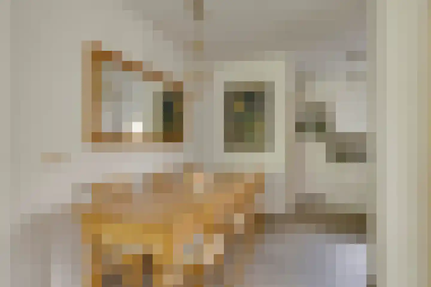 Hendrik Veenemanstraat 23 Son en Breugel thumbnail 19