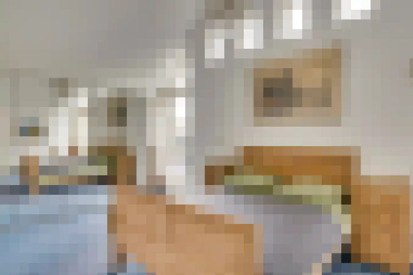Hendrik Veenemanstraat 23 Son en Breugel thumbnail 29