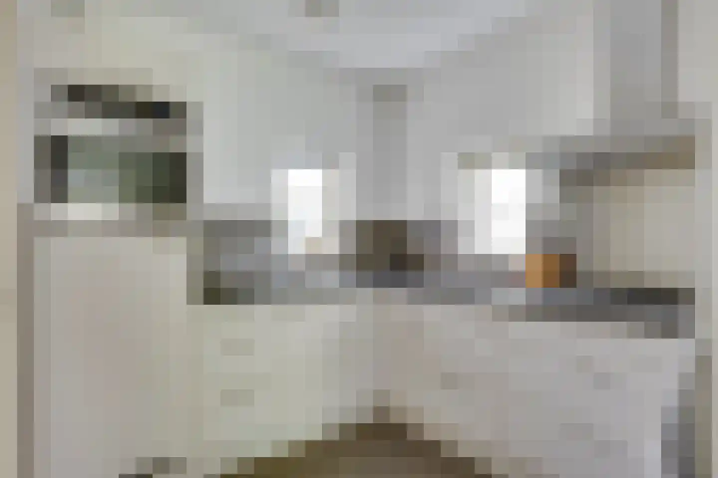 Hendrik Veenemanstraat 23 Son en Breugel thumbnail 6
