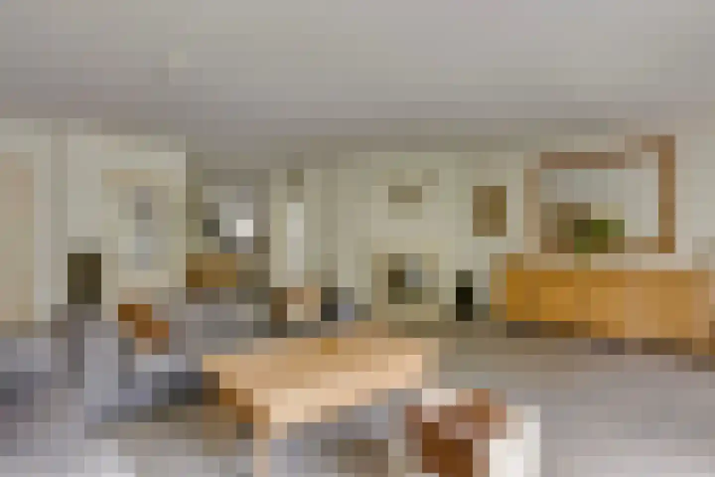 Hendrik Veenemanstraat 23 Son en Breugel thumbnail 7