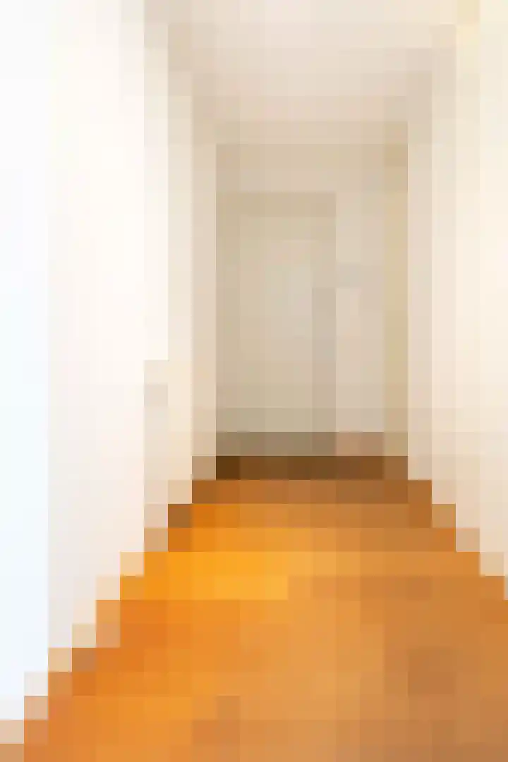 Hendrik Veenemanstraat 24 Son en Breugel thumbnail 10