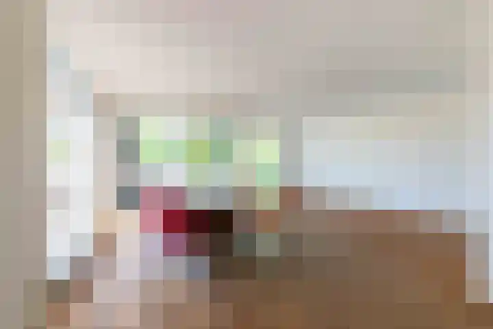 Hendrik Veenemanstraat 24 Son en Breugel thumbnail 15