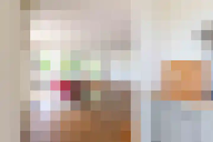 Hendrik Veenemanstraat 24 Son en Breugel thumbnail 20