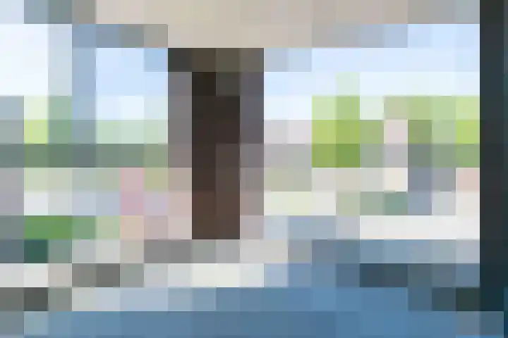 Hendrik Veenemanstraat 24 Son en Breugel thumbnail 21