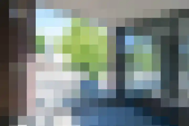Hendrik Veenemanstraat 24 Son en Breugel thumbnail 22