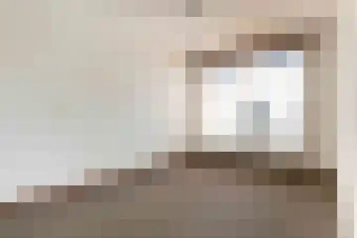 Hendrik Veenemanstraat 24 Son en Breugel thumbnail 25