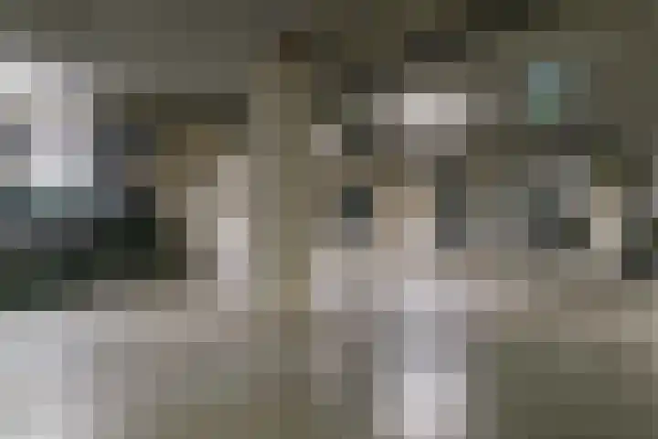 Hendrik Veenemanstraat 24 Son en Breugel thumbnail 31