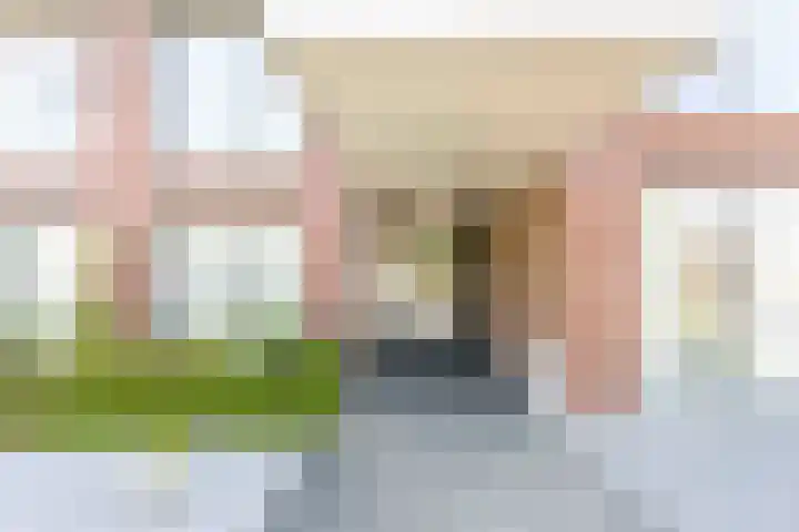 Hendrik Veenemanstraat 24 Son en Breugel thumbnail 6