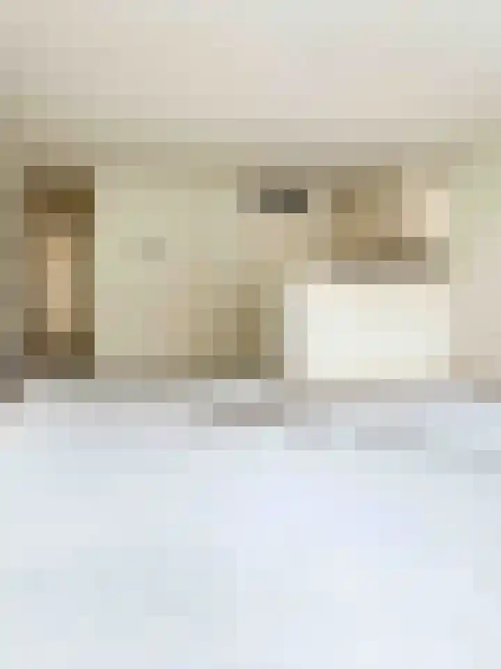 Hendrik Veenemanstraat 3 f Son en Breugel thumbnail 10
