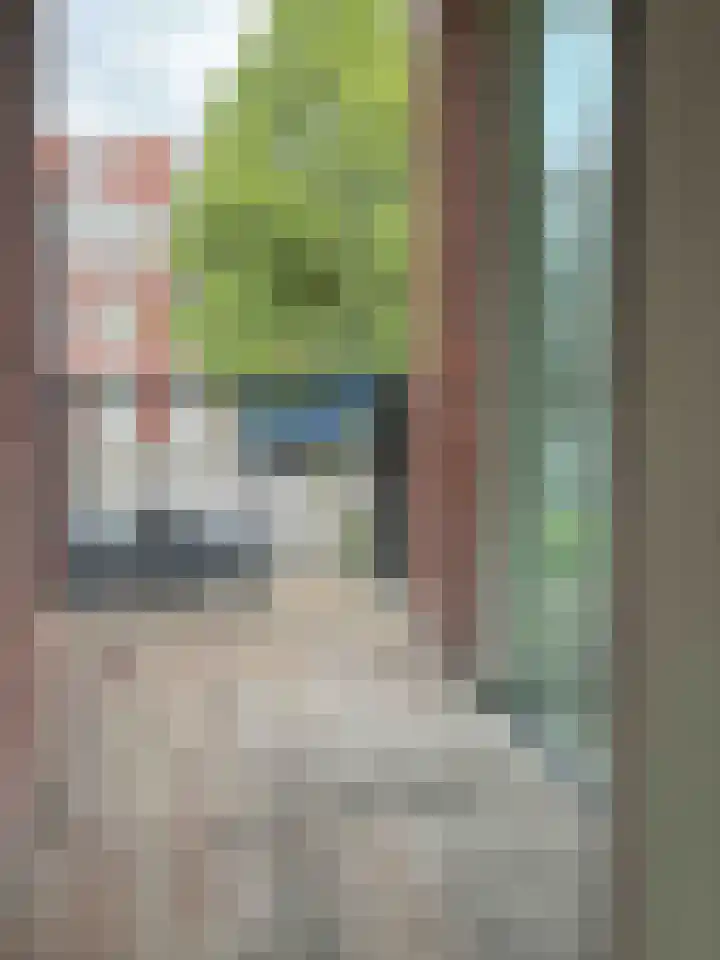 Hendrik Veenemanstraat 3 f Son en Breugel thumbnail 11