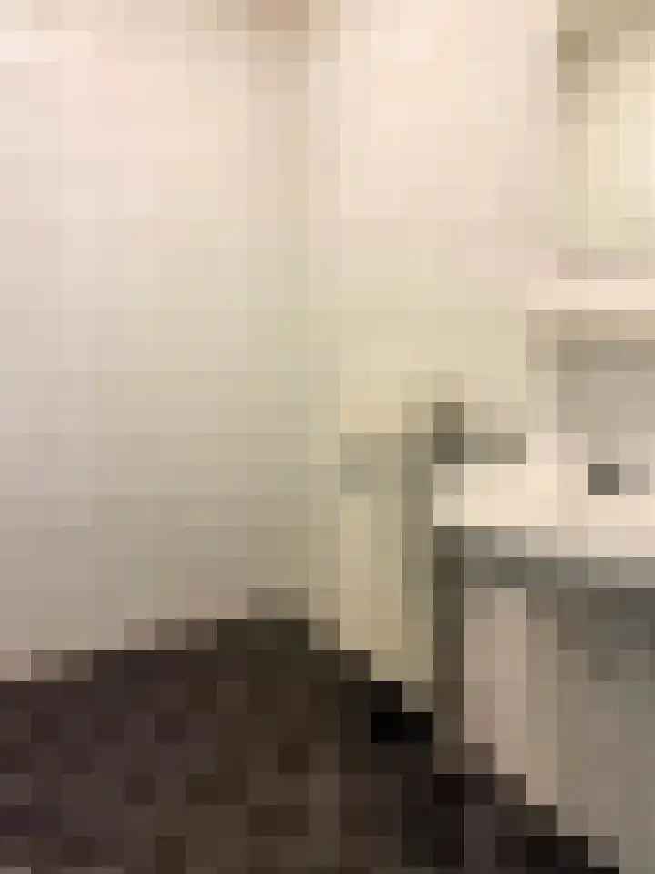 Hendrik Veenemanstraat 3 f Son en Breugel thumbnail 12