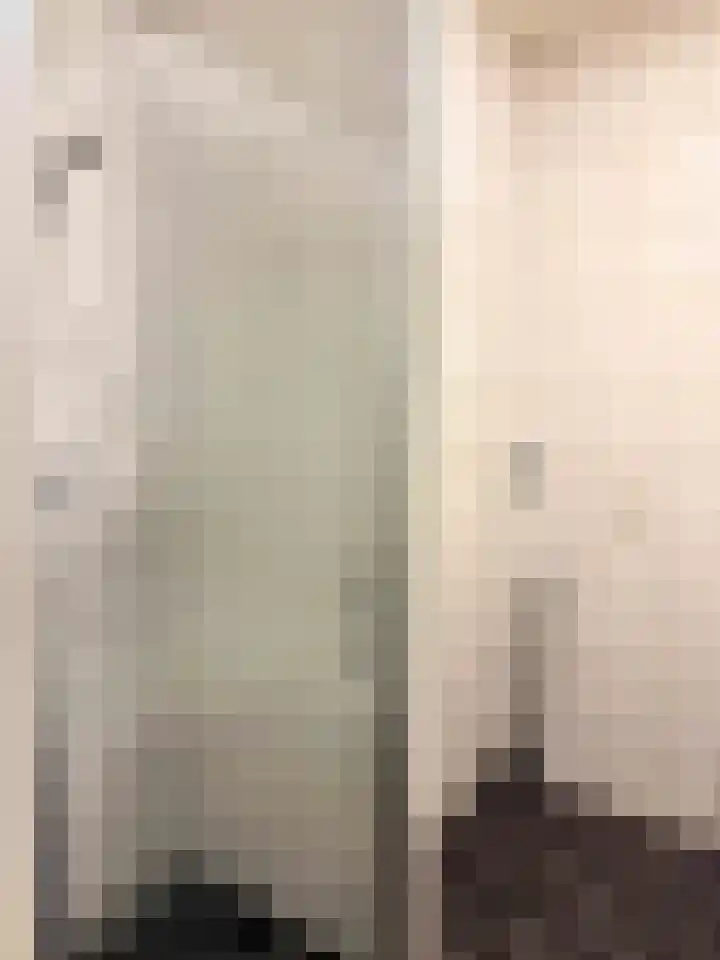 Hendrik Veenemanstraat 3 f Son en Breugel thumbnail 13