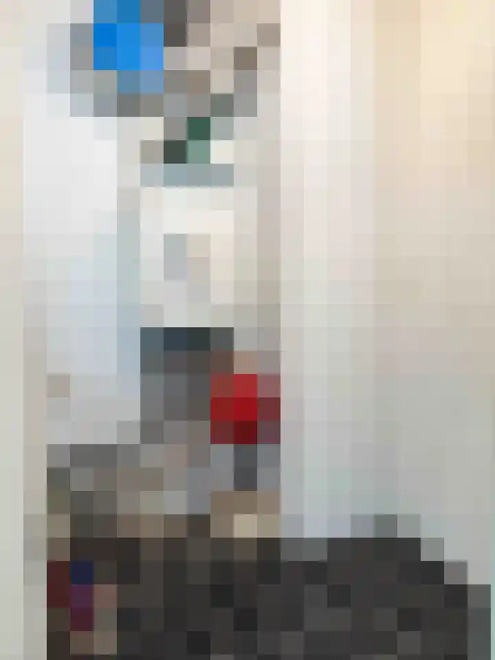 Hendrik Veenemanstraat 3 f Son en Breugel thumbnail 14