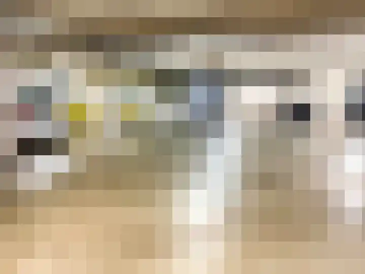 Hendrik Veenemanstraat 3 f Son en Breugel thumbnail 15