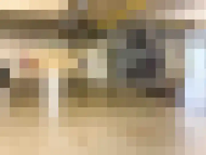 Hendrik Veenemanstraat 3 f Son en Breugel thumbnail 16