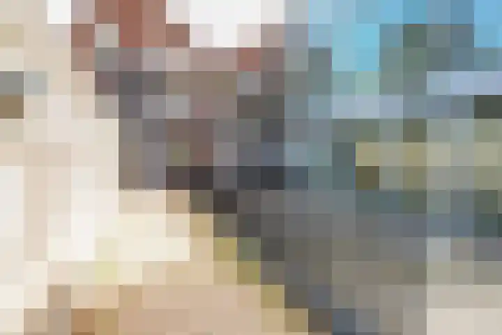 Hendrik Veenemanstraat 3 f Son en Breugel thumbnail 20