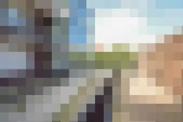 Hendrik Veenemanstraat 3 f Son en Breugel thumbnail 21